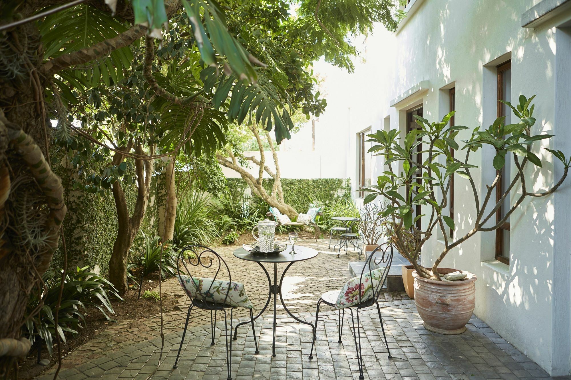 Bayflowers Guest House Cape Town Exterior photo